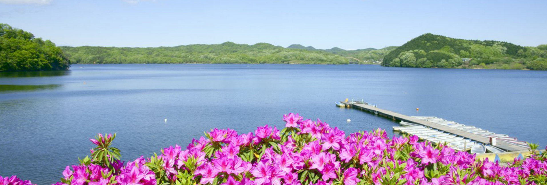 Acquistare Olio D'oliva Artigianale