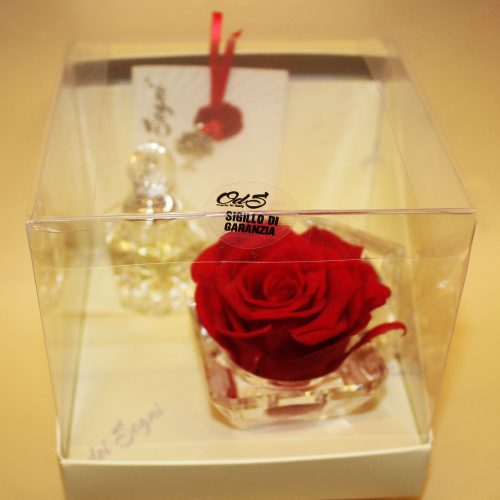 Rosa stabilizzata Online